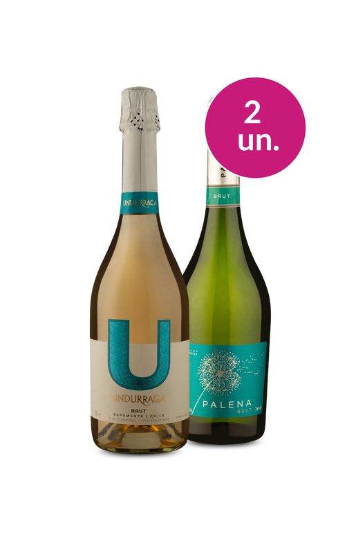 Kit 2 - Espumantes que você precisa provar - Oferta Absurda