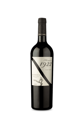 Planted In 1922 Tinto 2023