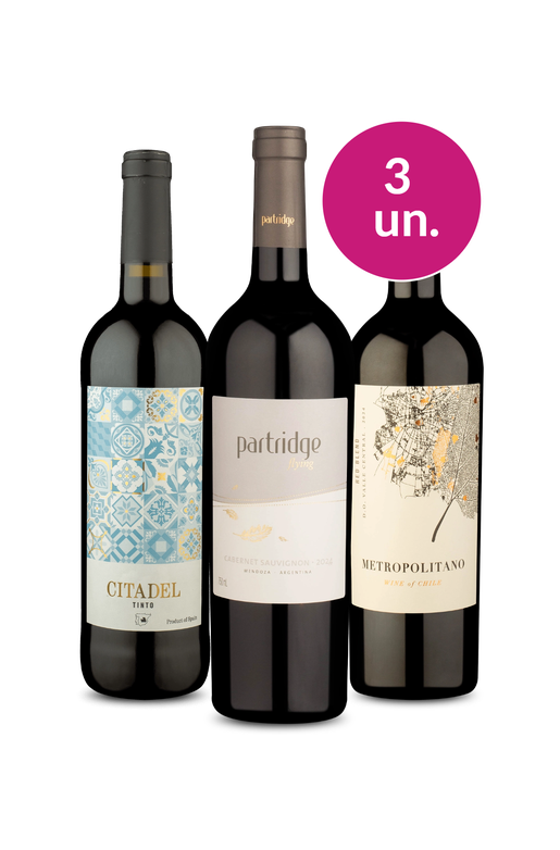 Kit 3 - Tintos Sulamericanos por R$99 - Oferta Absurda