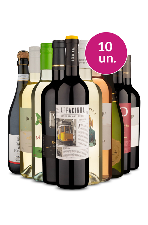 Kit 10 - Queridinhos da Wine - Oferta Absurda