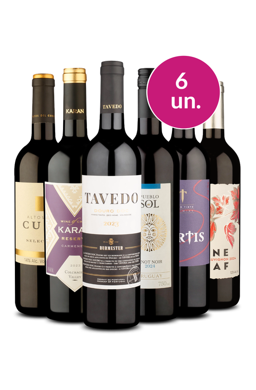 Kit 6 - Adega Cheia por R$33 por Garrafa - Oferta Absurda