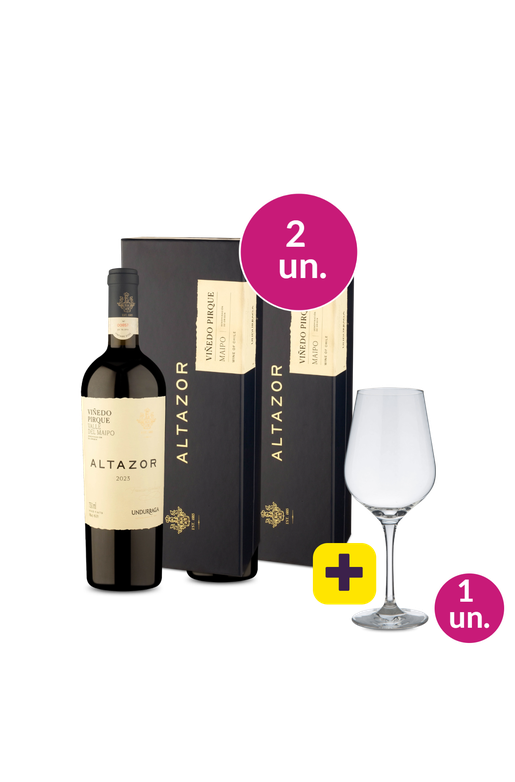 Kit 2 - Altazor D.O. Valle Del Maipo 2023 + Taça de Cristal p/ Vinho Grátis - Exclusivo We