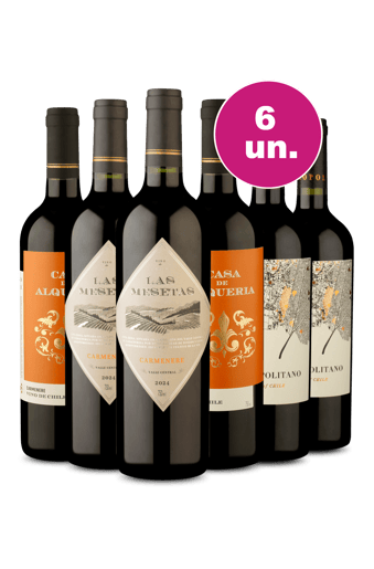 Kit 6 por R$199 - Tintos Carménère