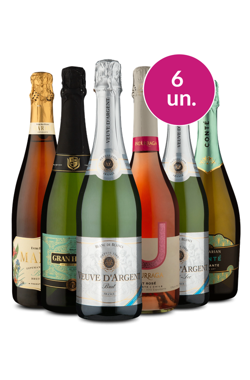 Kit 6 - Degustação de Espumantes