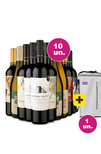 Kit 10 - Vinhos por 35,90 + Bolsa Térmica para 3 garrafas Grátis - Exclusivo We