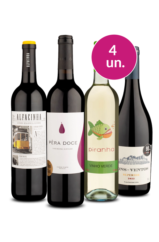 Kit 4 - Portugueses Esplêndidos - Oferta Absurda