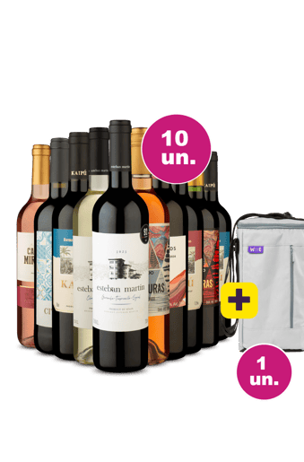 Kit 10 - Vinhos por 36,90 + Bolsa Térmica para 3 garrafas Grátis - Exclusivo We