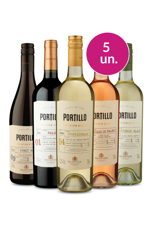 Kit 5 - Degustação Portillo - Exclusivo We