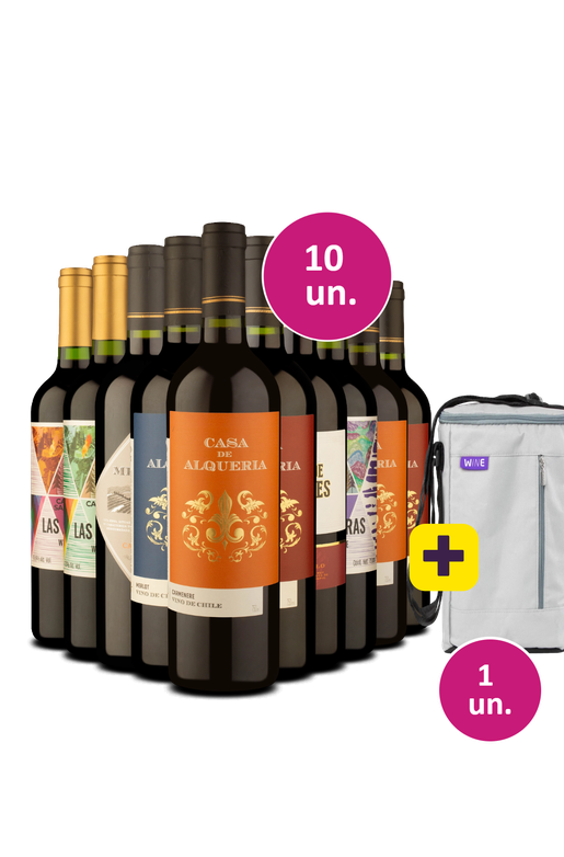 Kit 10 - Tintos por 31 a garrafa + Bolsa Térmica para 3 garrafas Grátis - Exclusivo We