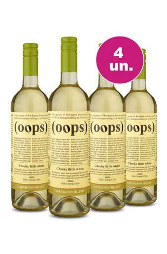 Kit 4 - (Oops) Sauvignon Blanc - Exclusivo We Wine
