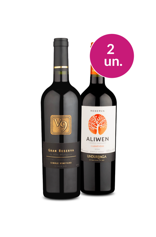 Kit 2 - Wine Pendura - Chilenos Imperdíveis