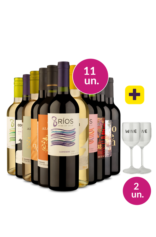 Kit 13 - Variedade + Par de Taças de Acrílico Grátis