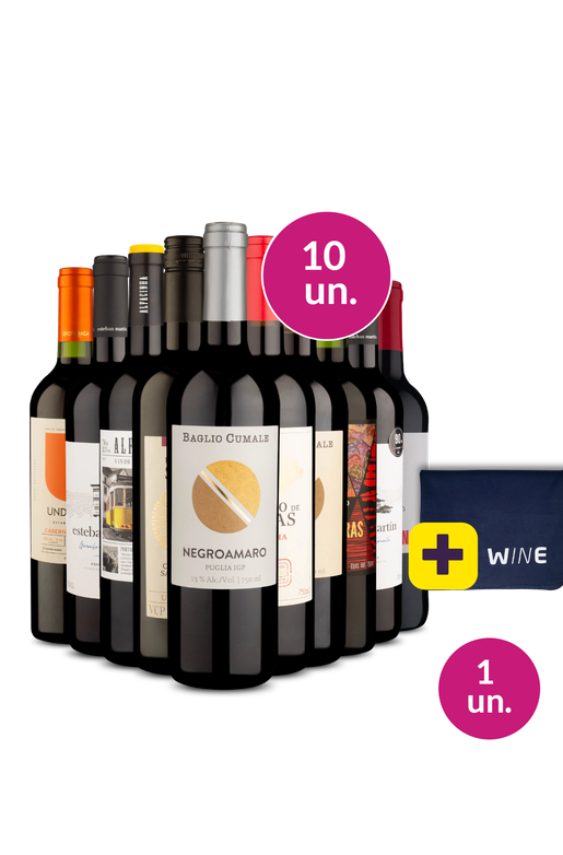 Kit 10 - Vinhos Tintos para todos + Manta Wine Grátis - Exclusivo We