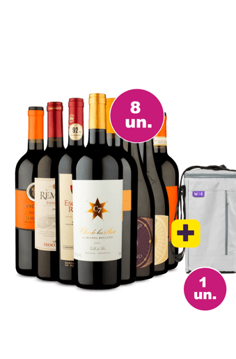 Kit 8 - Vinhos Premiuns + Bolsa Térmica para 3 garrafas Grátis - Exclusivo We