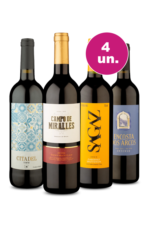 Kit 4 - Oferta Imperdível por R$99 - Spoiler Black Friday