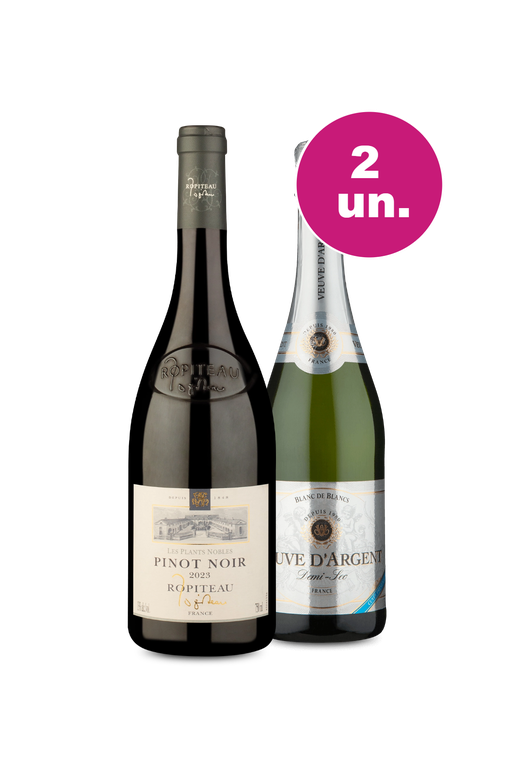 Kit 2 - Encontro Francês - Oferta Absurda Cyber Week Wine