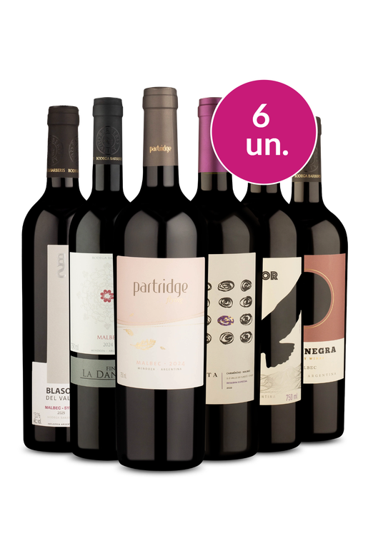 Kit 6 - Só Malbec - Exclusivo We