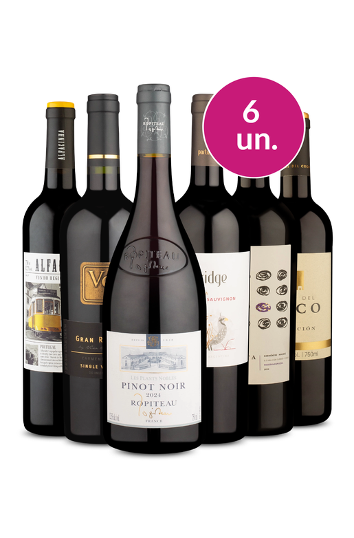 Kit 6 - Evolução do Paladar