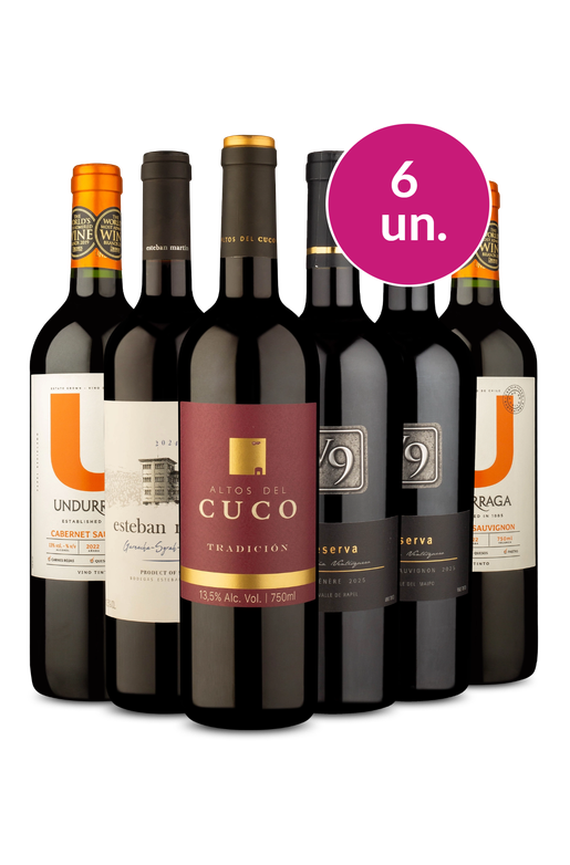 Kit 6 - Tintos deliciosos - Exclusivo We