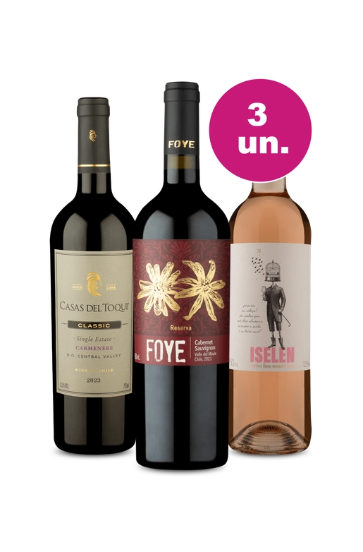 Kit 3 Por R$99 - Mistura de Estilos - Oferta Insana