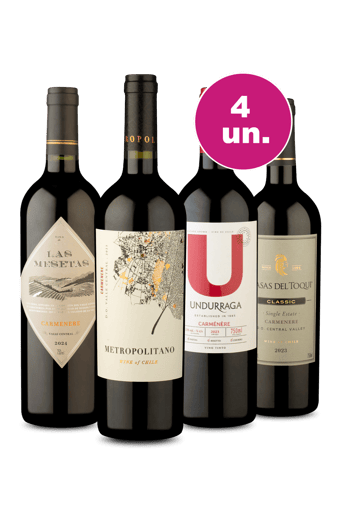 Kit 4 - Carménère de Excelência - Oferta Insana