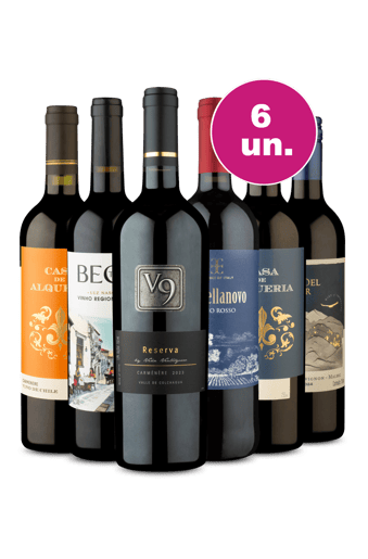 Kit 6 - Tintos para Surpreender - Exclusivo WE
