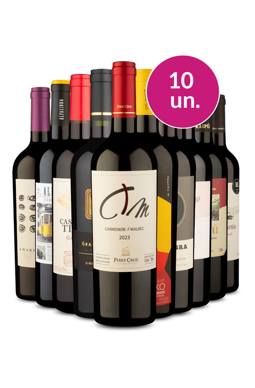 Kit 10 - Tintos por R$44 por Garrafa - Oferta Absurda