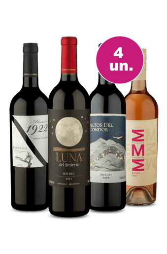 Kit 4 - Argentinos por R$29,90 Por Garrafa - Oferta Insana
