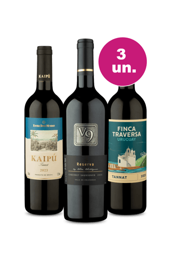 Kit 3 - Tintos Sulamericanos por R$99