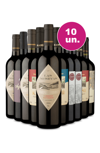 Kit 10 - Tintos por 24,90 - Exclusivo We