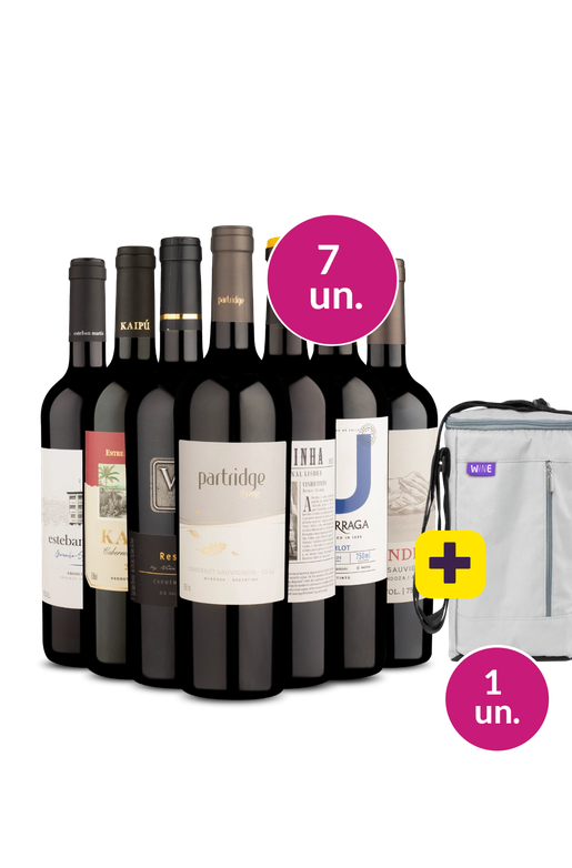 Kit 7 - Vinhos Tintos Incríveis + Bolsa Porta Vinhos Grátis - Oferta Absurda