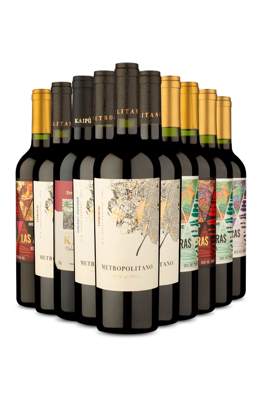 Kit 10 - Tintos por 24,50 - Exclusivo We