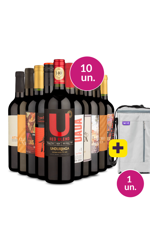 Kit 10 - Tintos Meio Secos + Bolsa p/ 3 garrafas Grátis - Exclusivo We