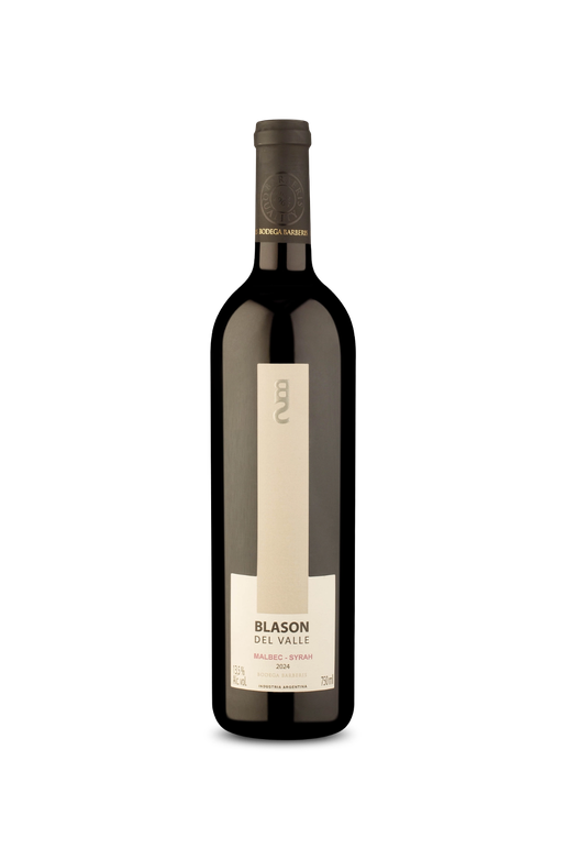 Blason Del Valle Malbec Syrah 2024