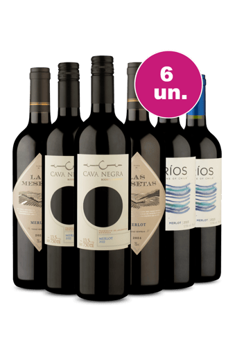 Kit 6 por R$199 - Coleção Merlot