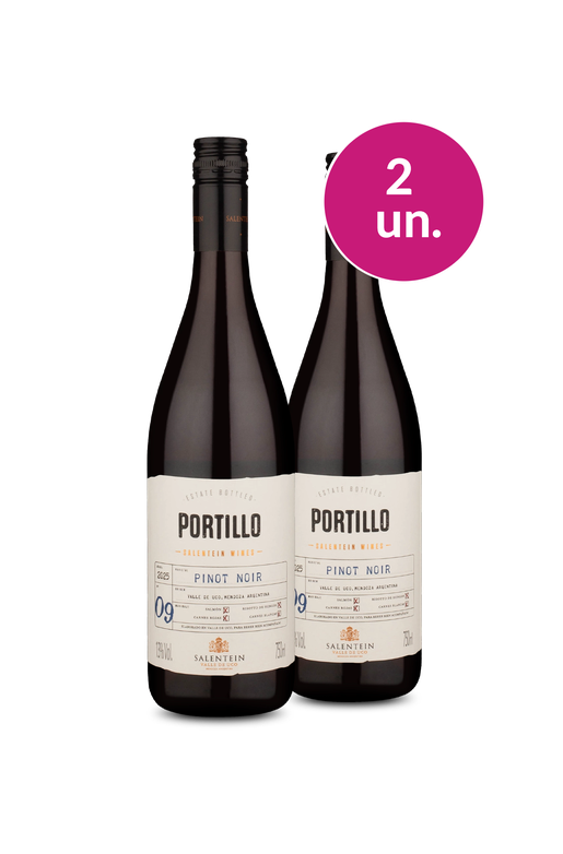 Wine Pendura - Portillo por R$50,93/un