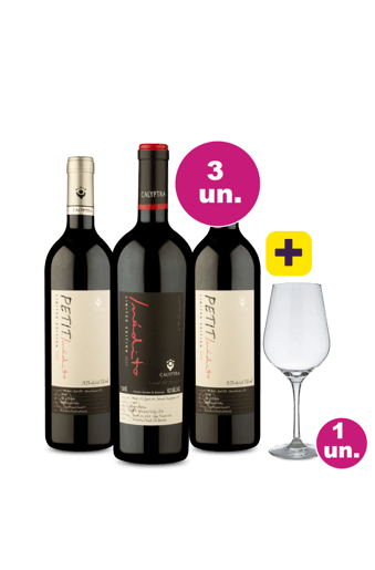Kit 3 - Calyptra Limited Edition + Taça de Cristal Grátis - Exclusivo WE