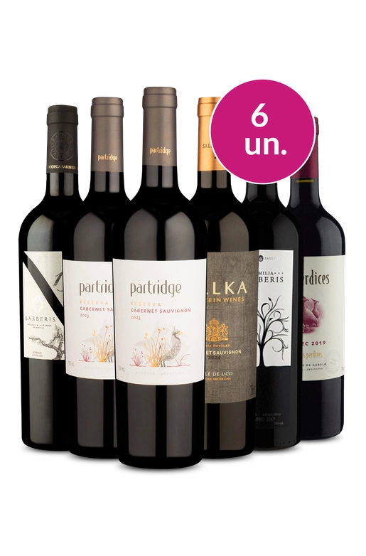 Kit 6 - Argentinos de Sucesso - Oferta Absurda