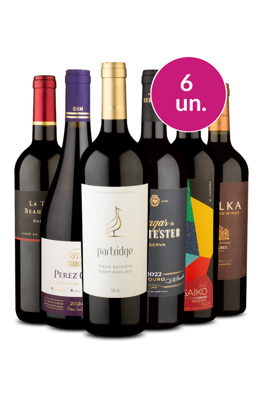 Kit 6 - Vinhos Chiques e no Precinho - Oferta Absurda