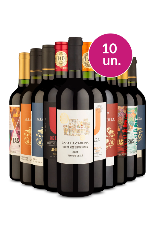 Kit 10 - Tintos por 26,90 - Exclusivo We