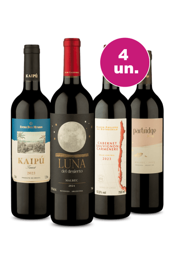 Kit 4 - Sulamericanos Campeões por 32,90 por Garrafa