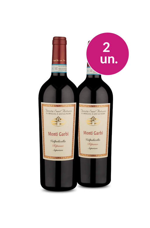 Wine Pendura - Tenuta Santantonio Valpolicella Ripasso Superiore Monti Garbi por R$138,68/un
