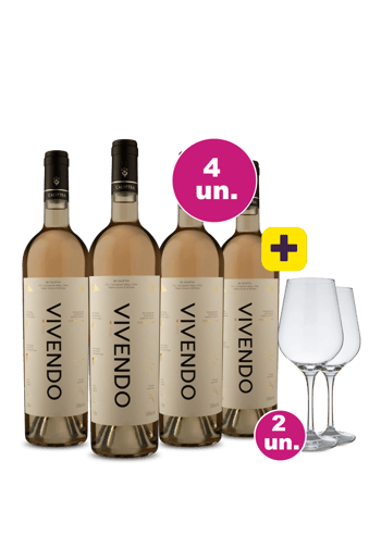 Kit 4 - Calyptra Vivendo Reserve  Rosé + 2 Taças Cristal Grátis