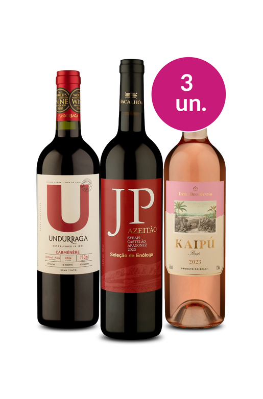 Kit 3 - Seleção Especial por R$99 - Oferta Absurda