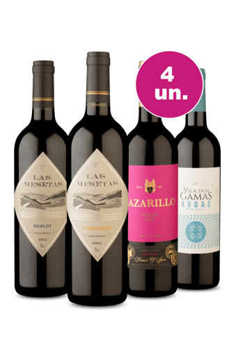 Kit 4 - Tintos por R$99 - Oferta Absurda