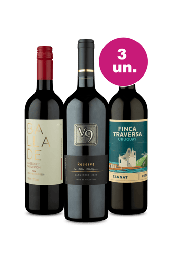 Kit 3 - Tintos Sulamericanos por R$99