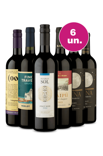 Kit 6 - Tintos da América do Sul por R$199