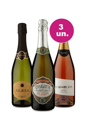 Kit 3 - Degustação de Espumantes - Exclusivo WE