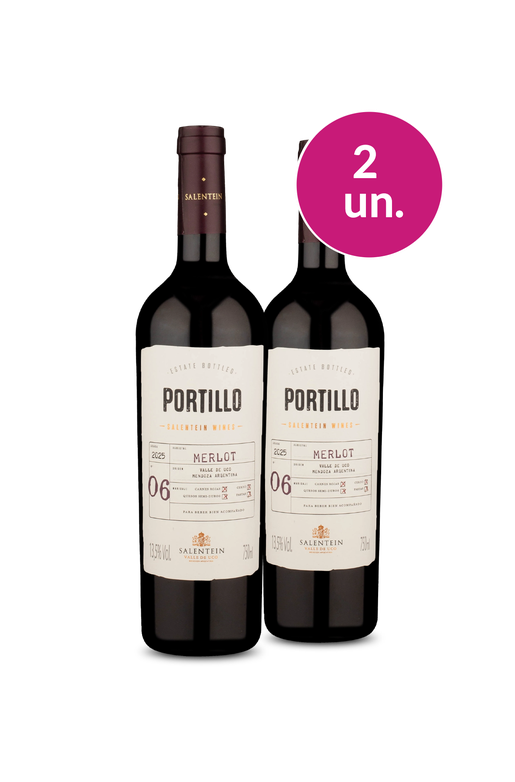 Wine Pendura - Portillo por R$50,93/un