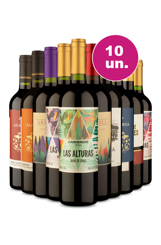 Kit 10 - Tintos Secos Black Wine - R$23,90 por Garrafa